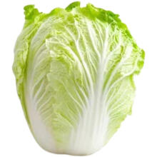 东北新鲜大白菜娃娃菜叶饭包农家自种现摘即食新鲜蔬菜整箱5斤10过年送人送礼生鲜 3斤